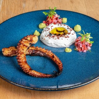 Octopus
