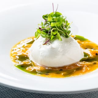 Burrata Appetizer